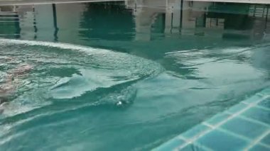 Genç kadın rahatlatıcı ve yavaş yavaş yüzme havuzunda yüzüyor