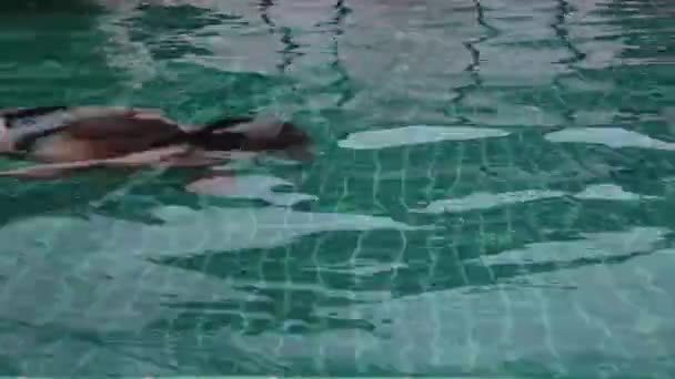 Söt tonåring flicka som leker skrattar finns hotell swimmingpool ha kul — Stockvideo