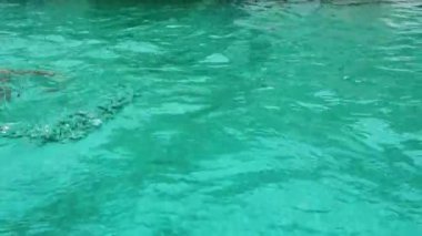ince kadın rahatlatıcı ve otel havuzda bikini. yaz tatil kavramı