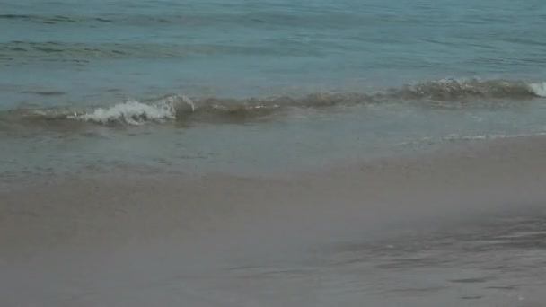 Θαλασσογραφία με κύματα στην αμμώδη ακτή. συννεφιά και τροπική παραλία — Αρχείο Βίντεο
