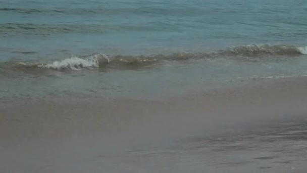 Meereslandschaft mit Wellen am sandigen Ufer. Bewölkter Himmel und tropischer Strand — Stockvideo