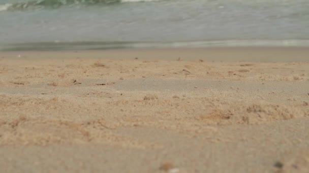 Paisagem marinha com ondas na costa arenosa. céu nublado e praia tropical. caranguejos rastejam ao longo da costa — Vídeo de Stock