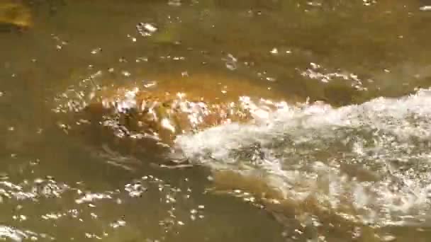 Snelle waterstraal onder stenen in kleine berg rivier stroomt. 4k — Stockvideo