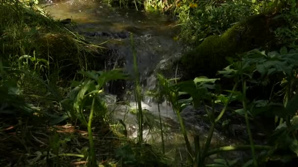 Snabba vattenströmmen flyter bland stenar. Litet berg floden jande mellan stora stenar och grön vegetation. slowmotion — Stockvideo