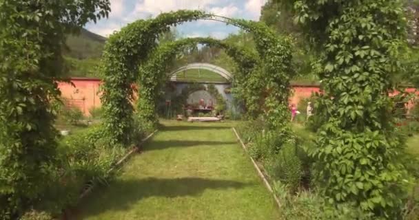 Fliegen durch einen Bogen wilder grüner Trauben winken in einem wunderschönen Park. 4k — Stockvideo