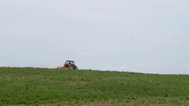 O tractor arrasa o campo. máquinas agrícolas em um horizonte — Vídeo de Stock