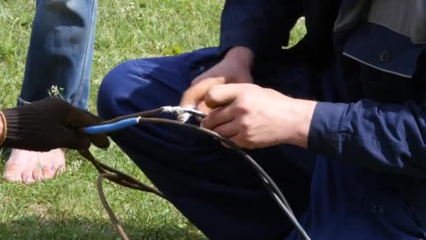 Primer plano de las manos del electricista, herramientas y cables. aislamiento de alambre eléctrico. 4K — Vídeos de Stock