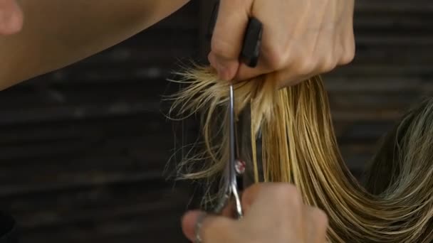 Peluquería femenina sostener en la mano entre los dedos mechón de pelo. Cortar las puntas del cabello con tijeras — Vídeo de stock