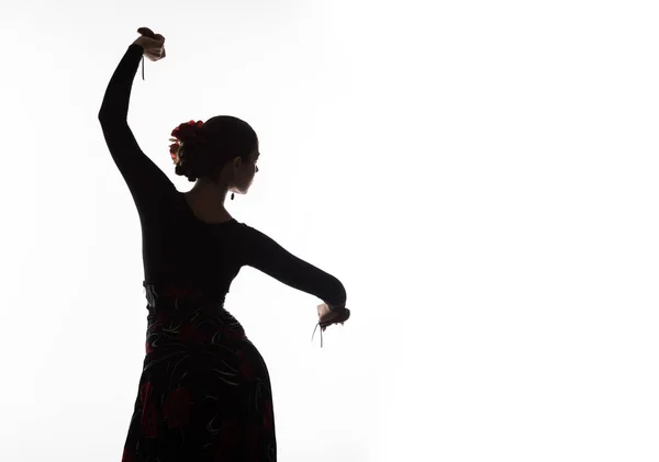 Silhouette di ragazza spagnola ballerina di flamenco su uno sfondo leggero. spazio libero per il testo — Foto Stock