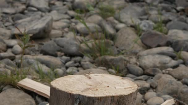 Woodsheds en hakken brandhout, houthakker splitsing van hout met oude bijl. 4k — Stockvideo
