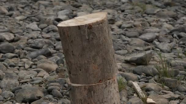 Lumberjack chopping firewood, splitting wood with axe. slow motion — Stock Video