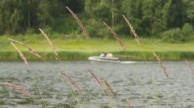 Küçük bir balıkçı powerboat hızlı bir yaz aylarında nehir üzerinde hareket. 4k