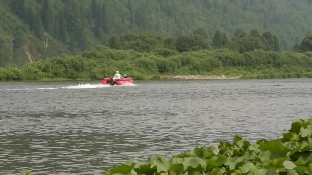 Motorówka małe rybackie przemieszczających się szybko na rzece w okresie letnim. zwolnionym tempie — Wideo stockowe