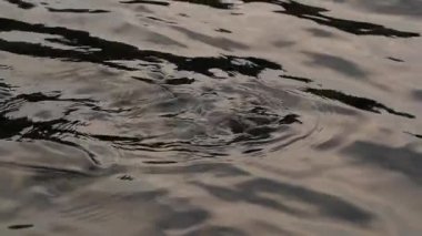 Alt parlak su yüzeyine taşlarla. Su yüzeyi dalgalanmalar ile. Nehir su yüzeyi. ağır çekim