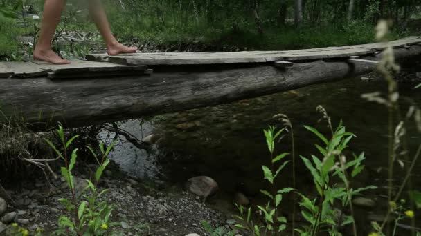 Fiatal nő egy hegyi folyó mentén keskeny fahíd gyaloglás. kemping és kaland fogalma — Stock videók