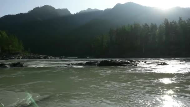 Paesaggio con alberi di montagna e un fiume di sera — Video Stock