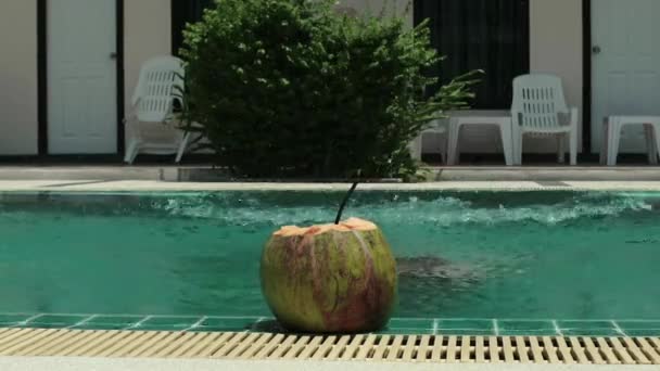 Jovem descansa na piscina e bebe coquetel de coco em um resort tropical — Vídeo de Stock