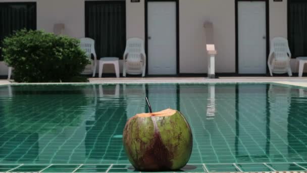 Ung kvinna resten i poolen och drycker cocktail från kokos på en tropisk resort — Stockvideo