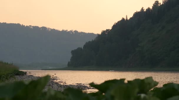 Yatay, dağlar ağaçlar ve saat akşam adlı bir nehir. 4k — Stok video