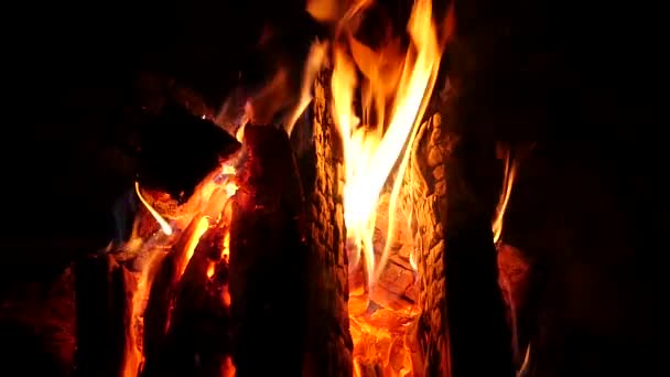 Feu de camp brûlant bien dans le noir. Bois de chauffage dans le feu et les flammes. au ralenti — Video