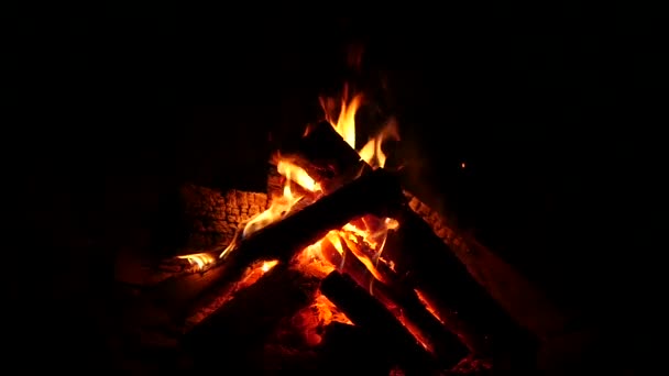 Feu de camp brûlant bien dans le noir. Bois de chauffage dans le feu et les flammes. au ralenti — Video