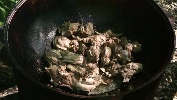 Pilaf kochen. gegrilltes Gemüse mit gehacktem Lamm in einem Kessel, im Freien. Geschmortes Essen. Campingkonzept — Stockvideo