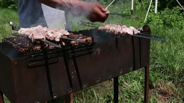 Open-Air barbecue, saftigt kött på grillen. glödande kol och rök — Stockvideo