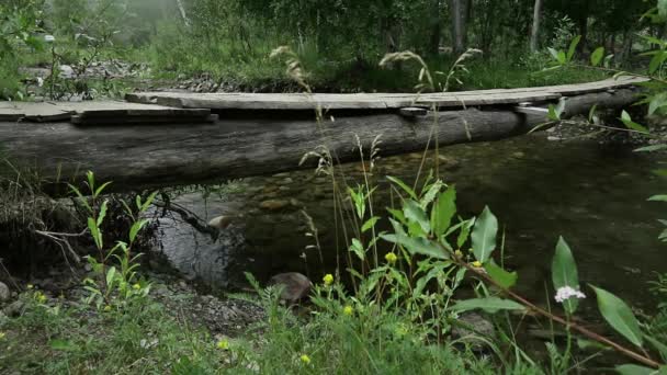Womans lábak egy hegyi folyó mentén keskeny fahíd gyaloglás. kemping és kaland fogalma — Stock videók
