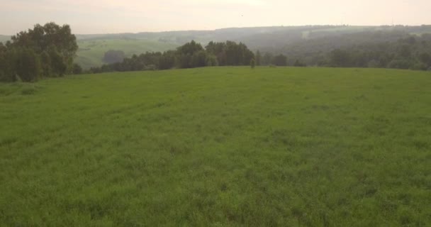 Luftaufnahme Abendzeit. Flug über ein grünes Gras auf einem Hügel. 4k — Stockvideo