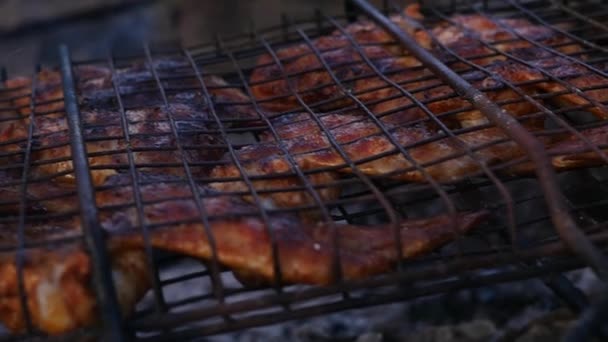 Poulet barbecue. ailes de poulets sont rôties sur le gril. au ralenti — Video