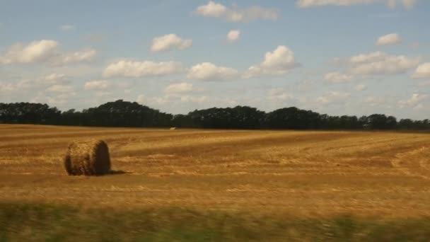 Fensterblick vom Bus auf ein herbstliches Feld. Zeitlupe — Stockvideo