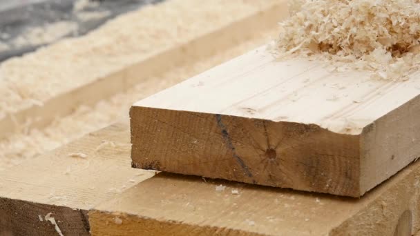 Mužské carpenter kontroly kvality desek. Muž pracuje na dřevo hoblovka. Zpomalený pohyb — Stock video