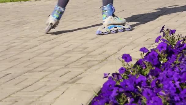 Jambes d'un enfant en patins à roulettes. L'enfant roule dans le parc pablique. Mouvement lent — Video