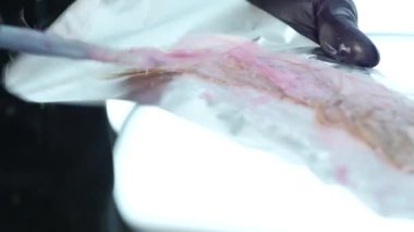 Kuaför Güzellik Salonu bir genç için boya saç modeli, yapar. Saç boya kaplı. 4k