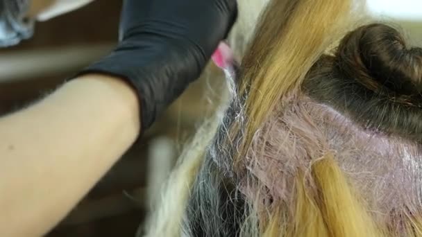 Hairdresser makes hairstyle, dye for a teenager in a beauty salon. Hair covered in dye. slow motion — Stock Video