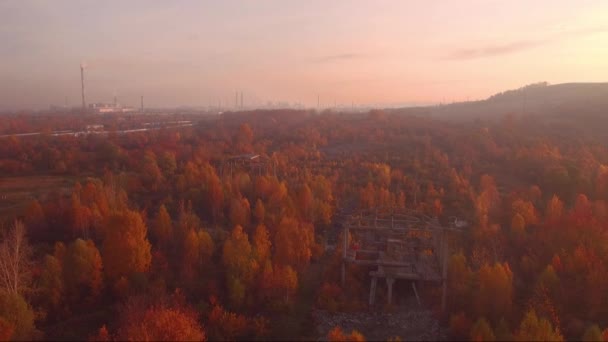 在废弃建筑的框架上飞行 自然毁坏的旧工业建筑 秋季景观 — 图库视频影像