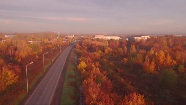 秋の風景の空撮高速道路道路。森の道端に沿って — ストック動画