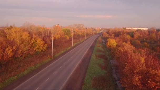 Légifelvételek autópálya road, őszi táj. erdő, valamint az utak mentén — Stock videók