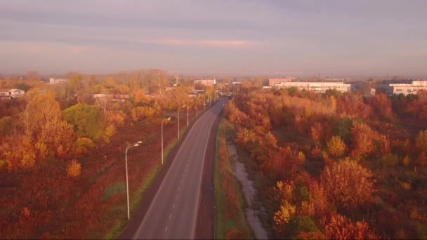 Légifelvételek autópálya road, őszi táj. erdő, valamint az utak mentén — Stock videók