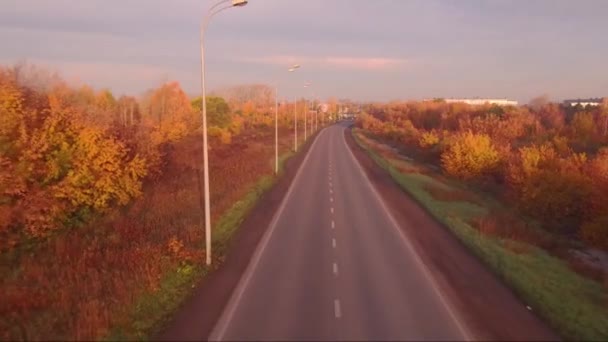 Vista aérea carretera carretera en otoño paisaje. bosque a lo largo de las carreteras — Vídeo de stock