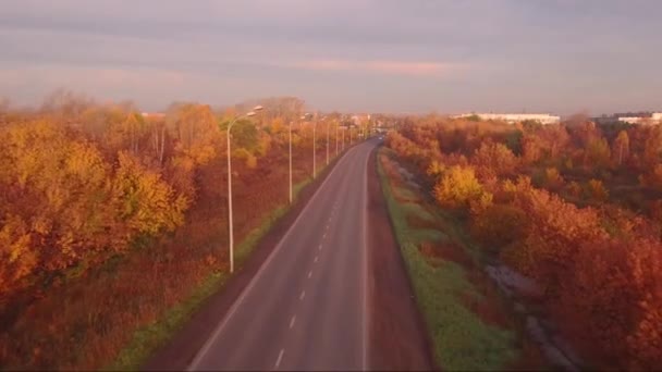Αεροφωτογραφία οδού στο φθινοπωρινό τοπίο. δάσος κατά μήκος τα κράσπεδα — Αρχείο Βίντεο