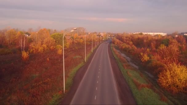 Flygfoto highway road i höstlandskap. skog längs vägkanterna — Stockvideo