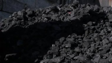 Kürek ve yığın kömür bahçedeki olan adam. özel house için Isıtma kömür. kış sezonu için hazırlık. 4k