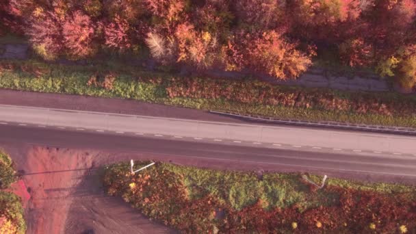 Αεροφωτογραφία οδού στο φθινοπωρινό τοπίο. δάσος κατά μήκος τα κράσπεδα — Αρχείο Βίντεο