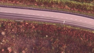 Havadan görünümü Otoban yol sonbahar manzara içinde. yol boyunca orman