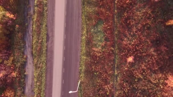 Estrada da estrada da vista aérea na paisagem do outono. floresta ao longo das estradas. 4K — Vídeo de Stock