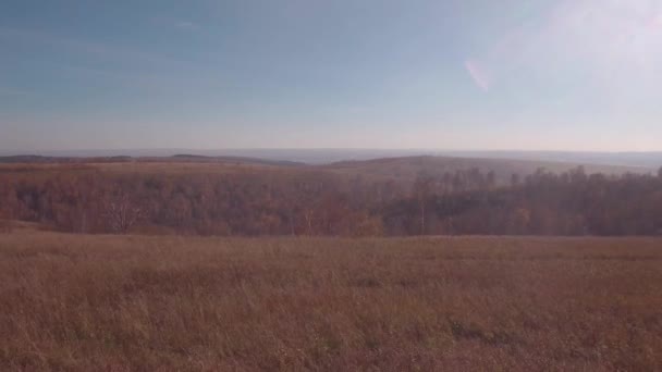 Vista aérea. mujer rubia en un camino rural de otoño cerca de coche roto. 4K — Vídeo de stock