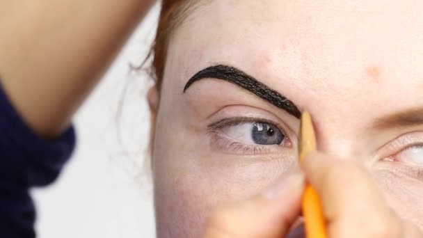 Professional make-up artist drawing eyebrows of client with henna — Stock Video