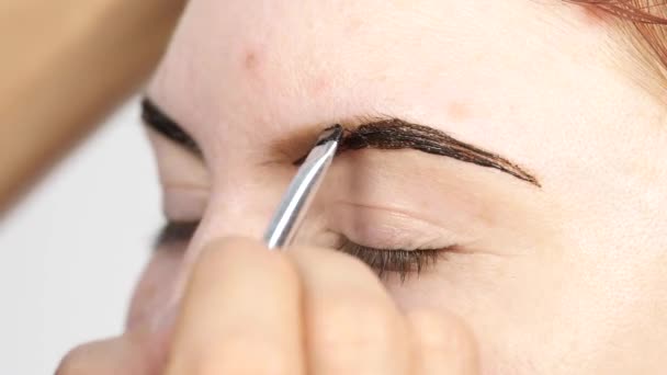 Maquillaje profesional artista dibujando cejas de hermoso cliente. Concepto de belleza y moda — Vídeo de stock