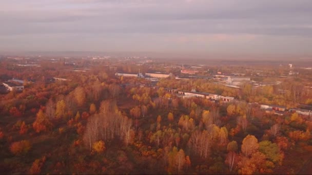 Luchtfoto snelweg weg in de herfst landschap. bos langs de bermen — Stockvideo